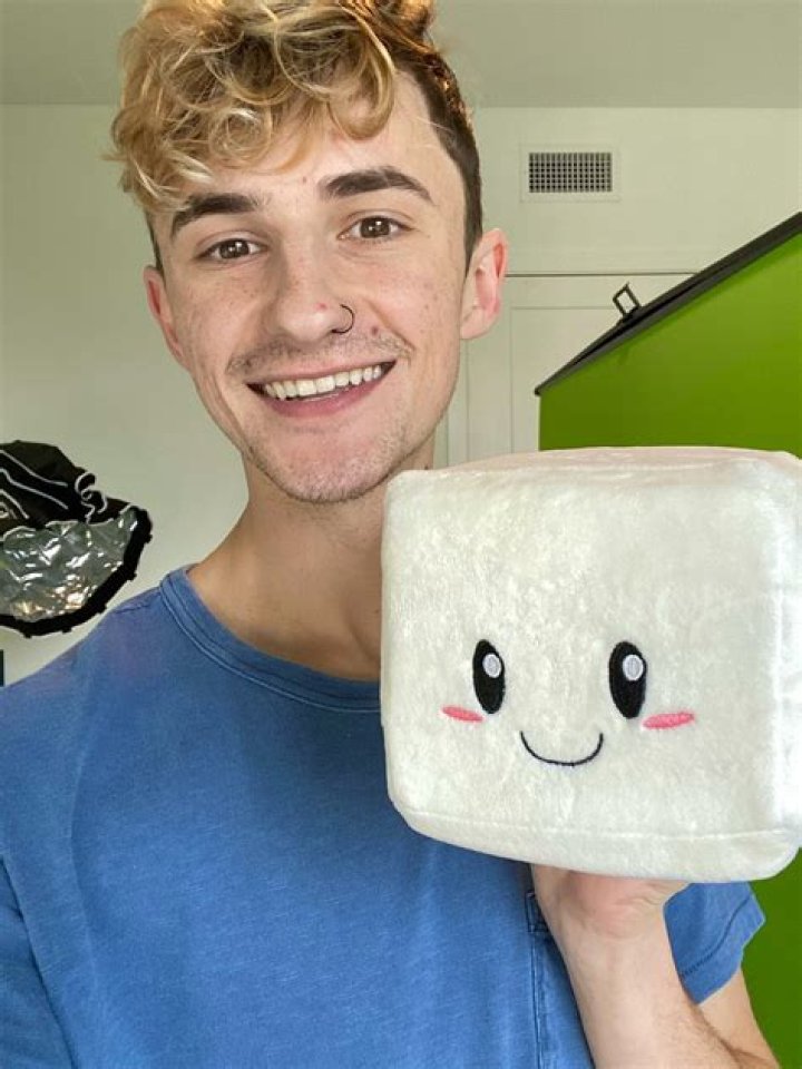 All About YouTuber Tofuu: Real Name, Age, Net Worth, Girlfriend