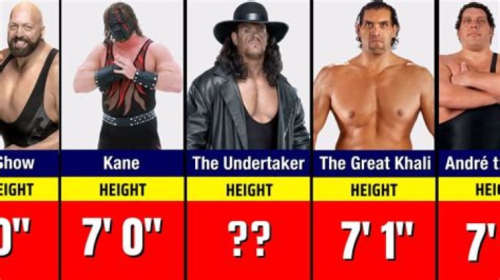 Ana Kane Height, Weight, Net Worth, Age, Birthday, Wikipedia, Who, Instagram, Biography