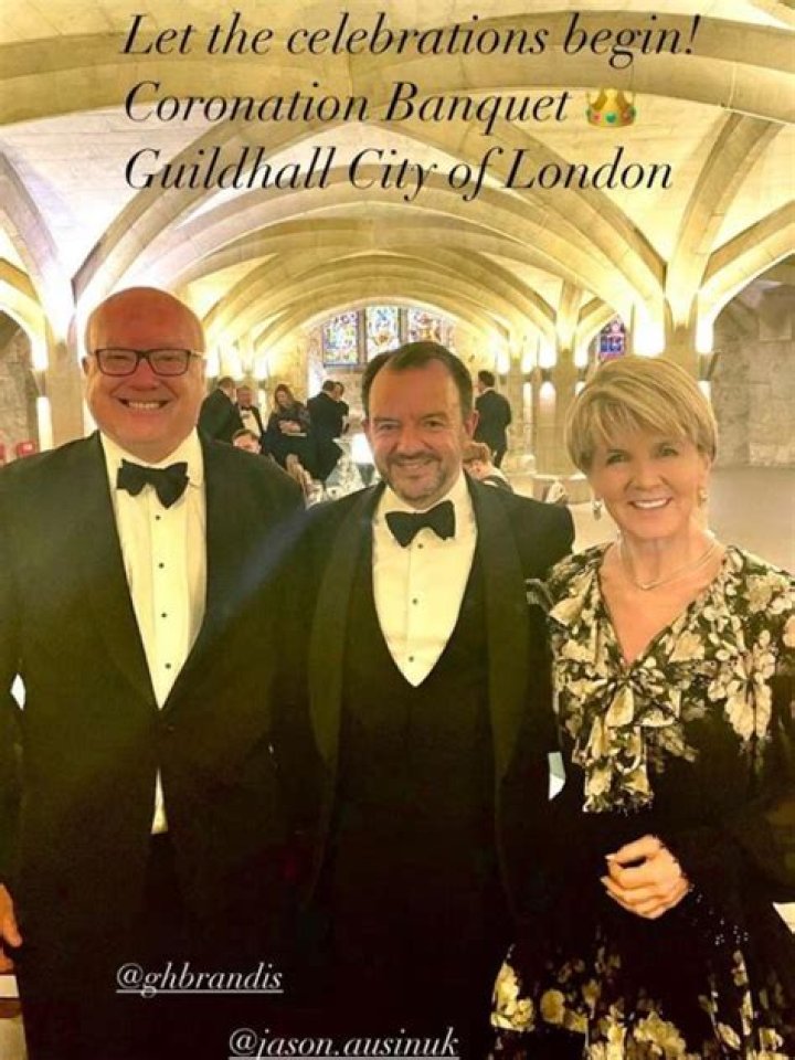 
Australian Minister Julie Bishop And David Panton Split Rumors And Her Dating Status Today 