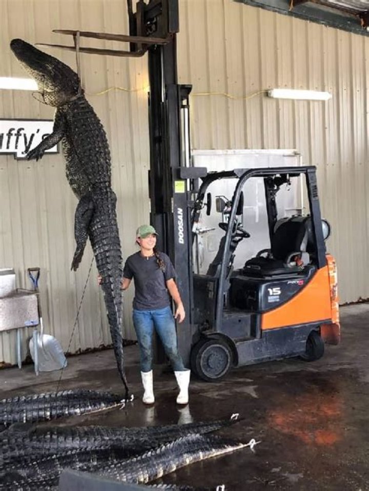 Buddy Carter Height, Weight, Net Worth, Age, Birthday, Wikipedia, Who, Instagram, Biography