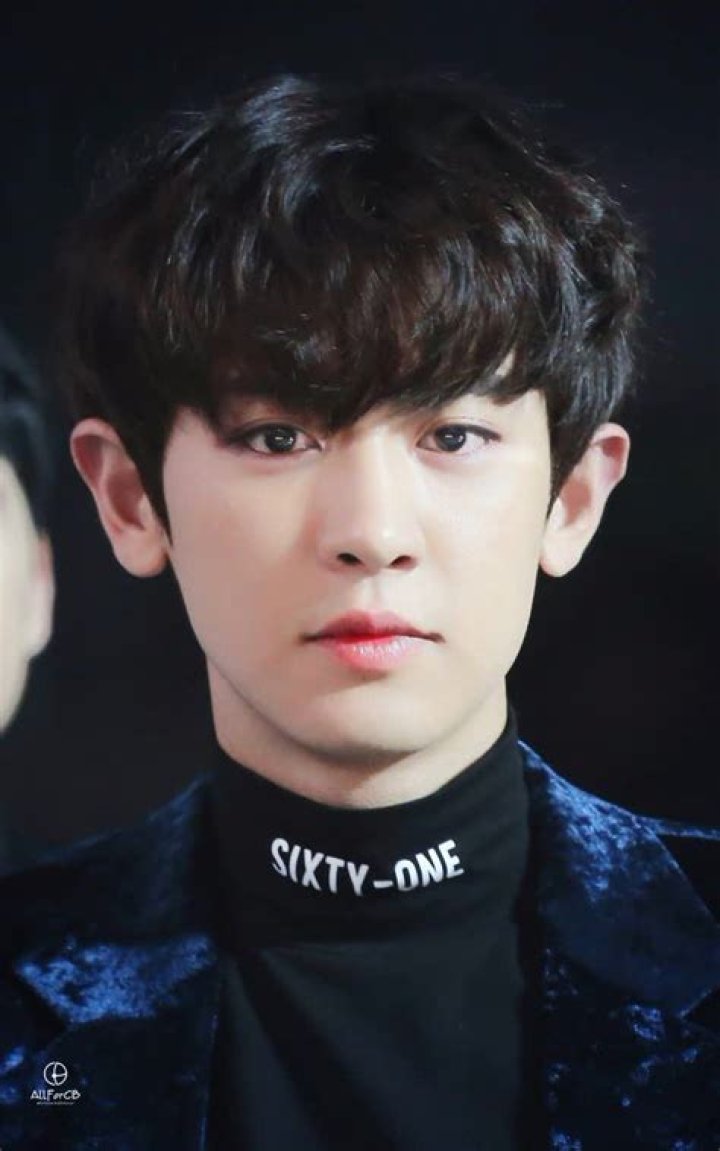 Chanyeol Height, Weight, Net Worth, Age, Birthday, Wikipedia, Who, Nationality, Biography