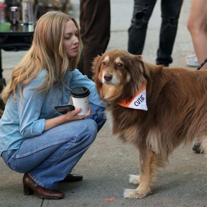 
Fans gush over Actress Onyii Alexx’s Beauty In A New Photo 