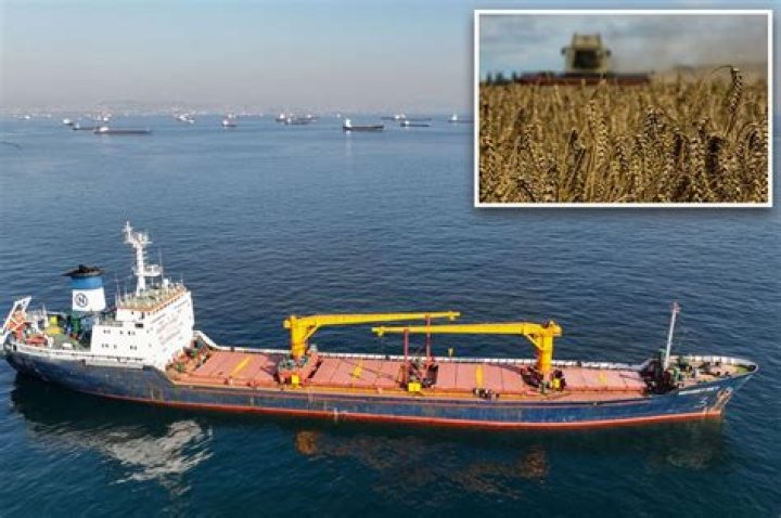 
Grain shipments depart from Ukraine despite Russian blockade threat 