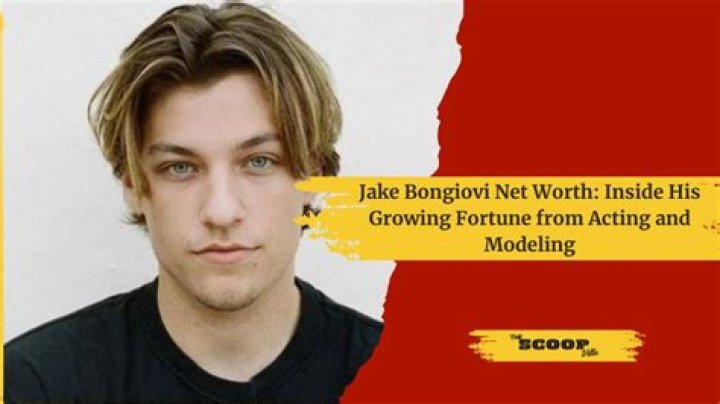 
Jake Bongiovi Height, Weight, Net Worth, Age, Birthday, Wikipedia, Who, Nationality, Biography 