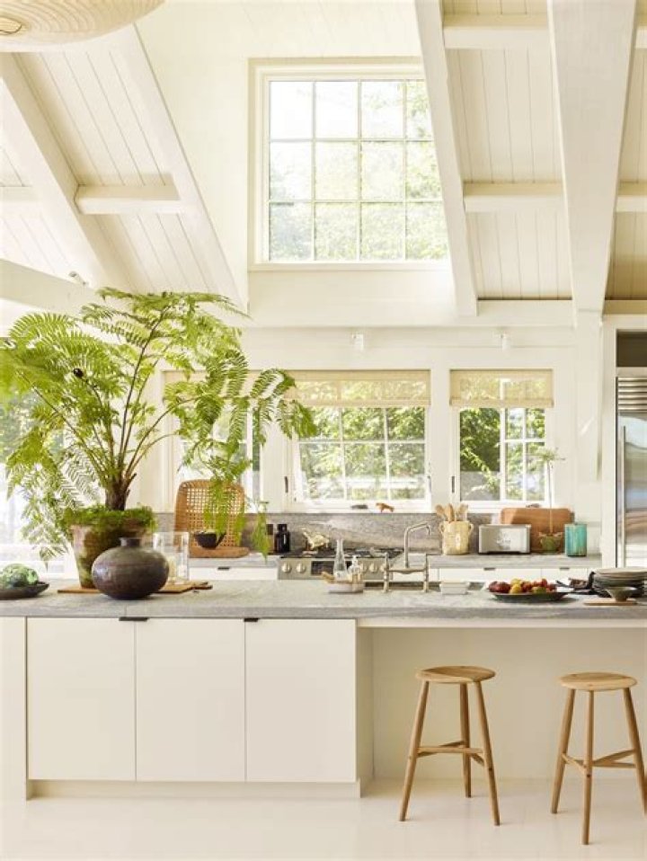 Lauren Conrad Provided An Inside Look Into The Working Of Her Parents and Family In Her Success