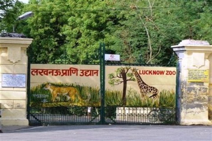 
Lucknow zoo hosting adventure sports 