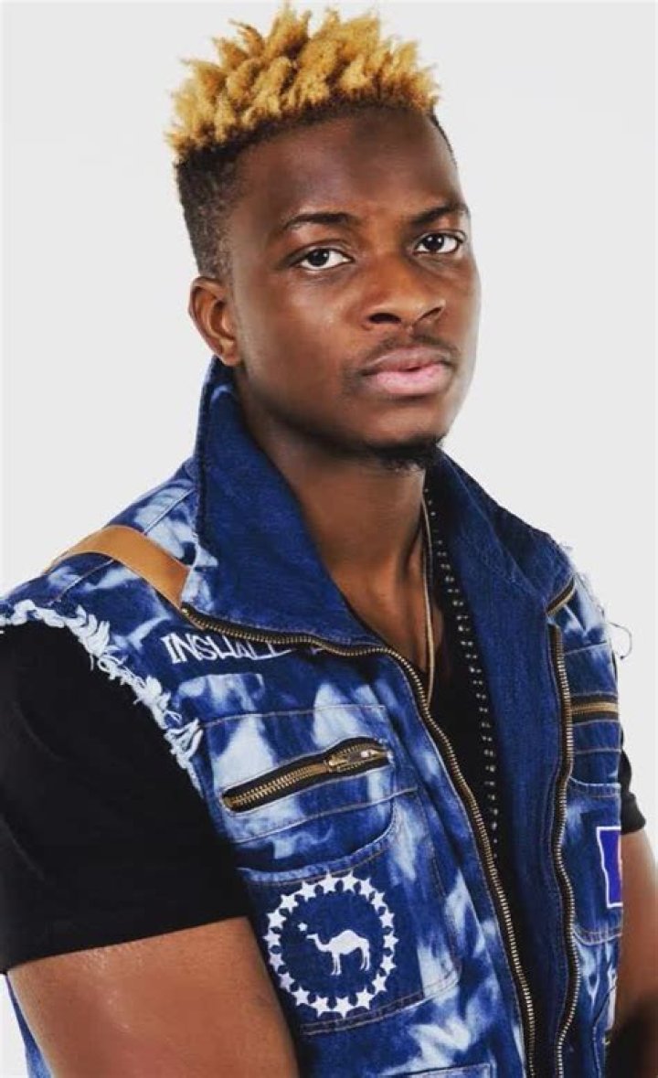 Ndukaku Alison Height, Weight, Net Worth, Age, Birthday, Wikipedia, Who, Instagram, Biography