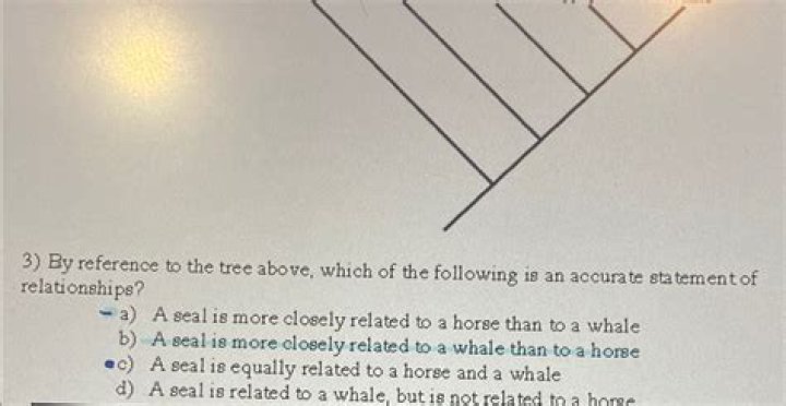 
No, Emma Lamb Is Not Related To Allan Lamb – Fans Are Curious About Their Relation, All Details 