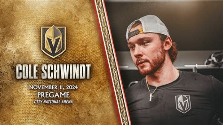 Overtime Megan Boyfriend Cole Schwindt Is A NHL Player