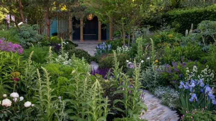 
Where Is Frances Beardshaw Now? Chris Beardshaw Wife From Garden Design Chelsea 2022 