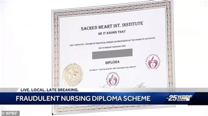 
Which nursing schools have shut down in Florida? Multi-million-dollar fake diploma scheme explained as 25 get arrested 