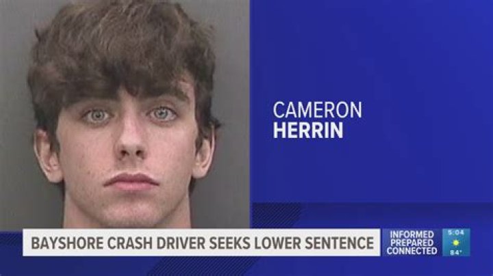 
Who are Cameron Herrins Parents? Cameron Herrin Biography, Parents Name, Nationality and More 