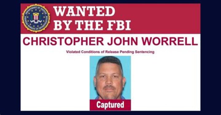 
Who is Christopher Worrell? Member of Proud Boy on house arrest in Jan 6 case disappears prior to sentencing 