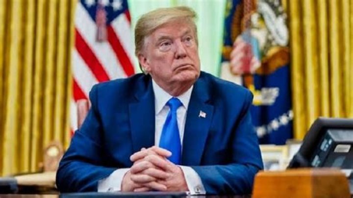 
Who Is Harry Kazianis From National Interest? US Official Makes Comment On Ukraine War On Fox News 