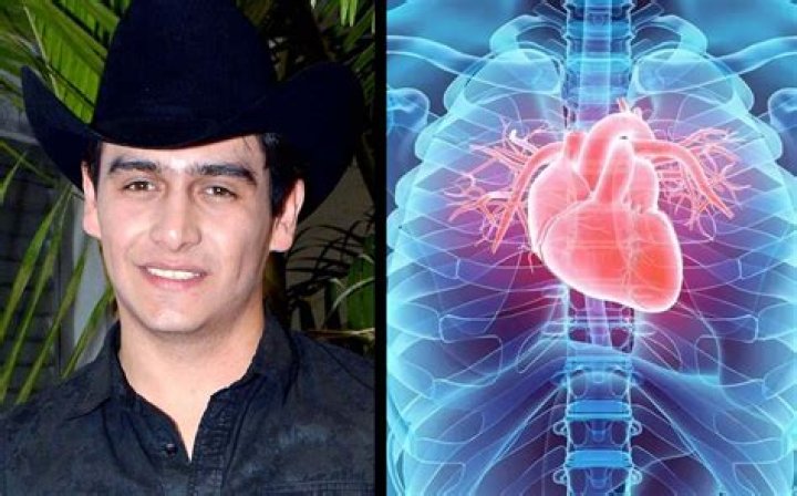 Who was Julián Figueroa, the son of Maribel Guardia and Joan Sebastian? Cause of death explored