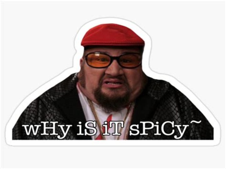 Why Is It Spicy Tiktok Dog Meme & Sound Explained, What Does It Mean?
