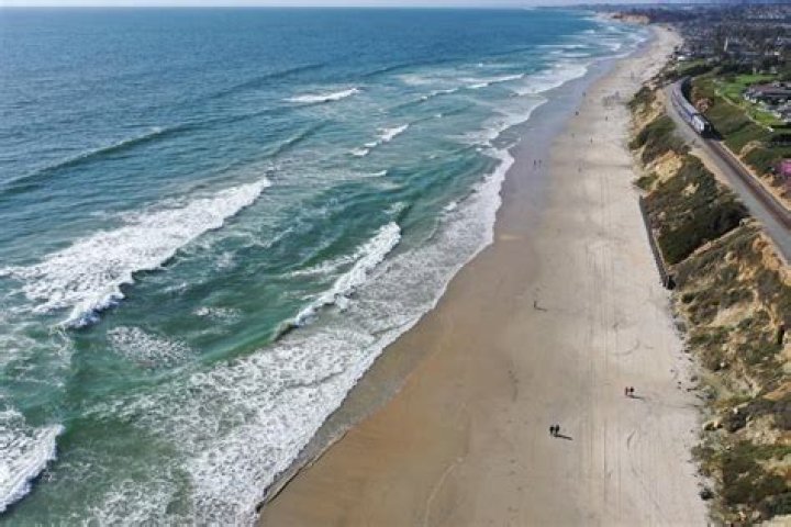 
Woman, 50, in Stable Condition After Being Attacked By Shark at Beach in Del Mar, Calif. 